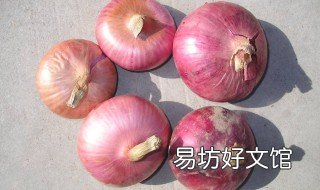 移栽洋葱最佳季节 洋葱什么时候播种什么时候移栽