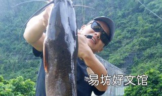 路亚怎么钓鲶鱼的方法 鲶鱼用路亚竿怎么钓