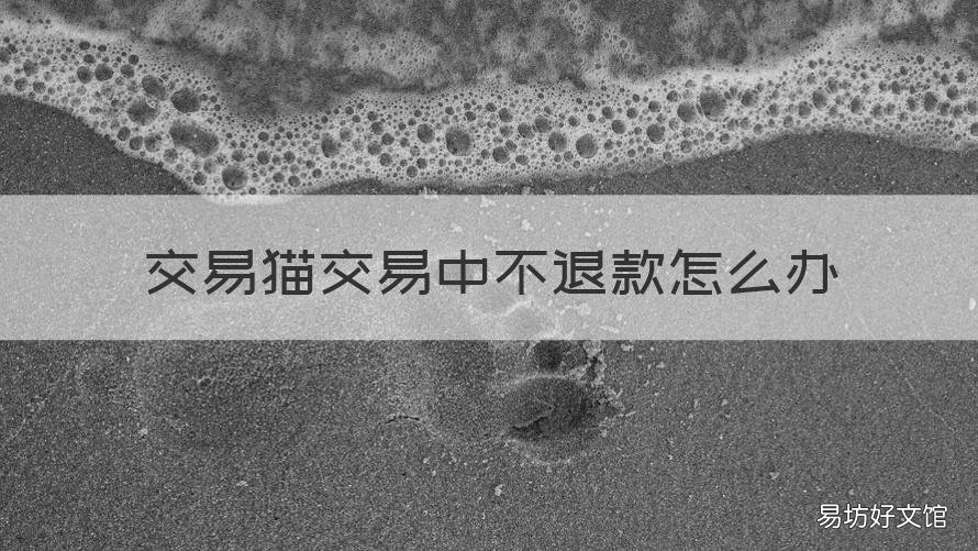 交易猫交易中不退款怎么办 在交易猫怎么退款