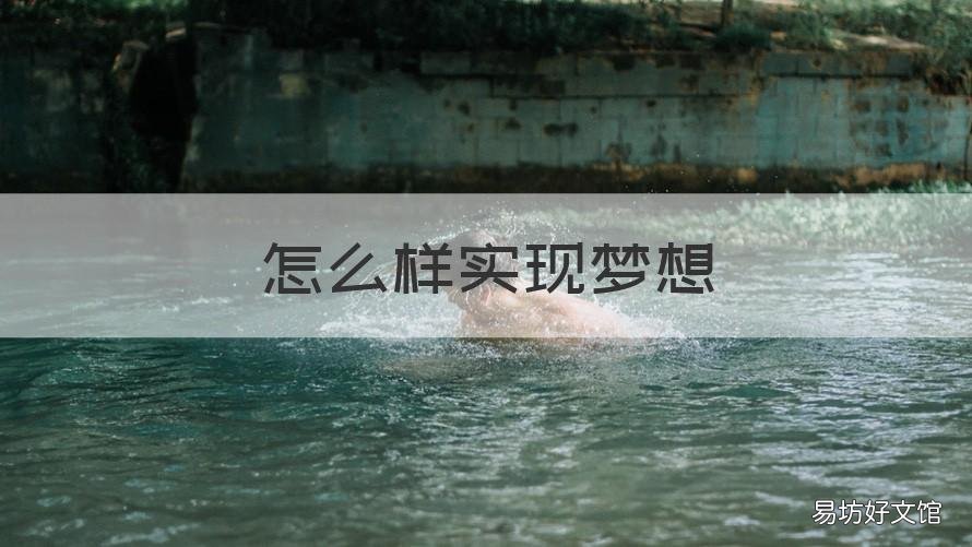 怎么样实现梦想 青少年怎么样实现梦想