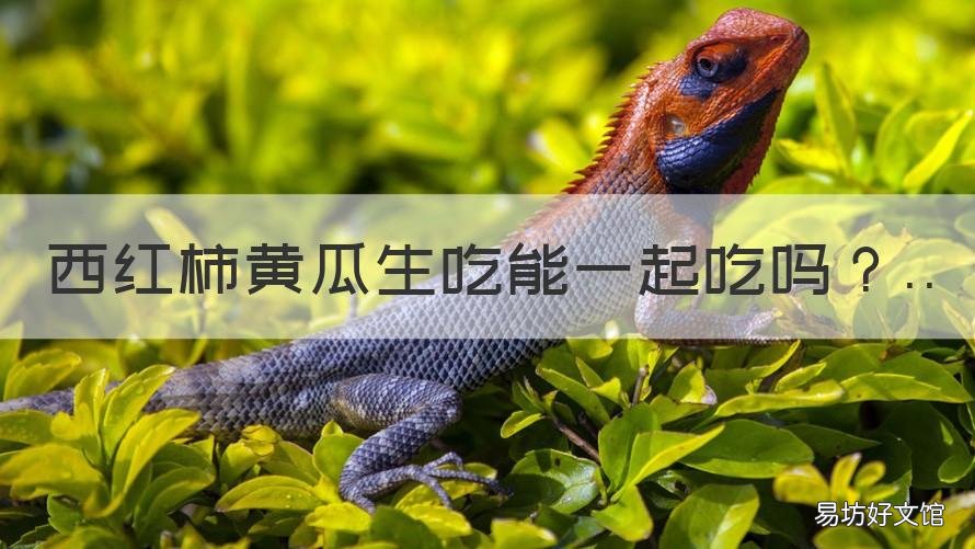 西红柿黄瓜生吃能一起吃吗 生吃西红柿和黄瓜能一起吃吗