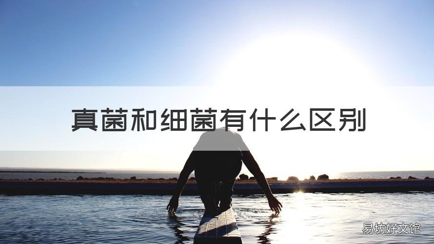 真菌和细菌有什么区别 真菌和细菌有什么区别和联系