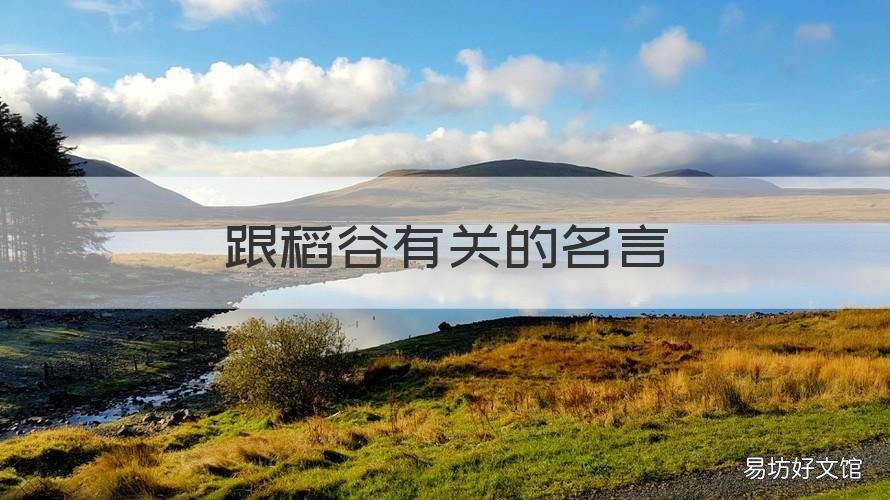 跟稻谷有关的名言 跟稻谷有关的名言警句