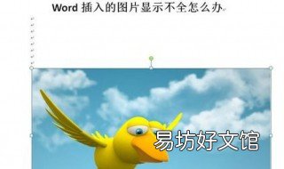 word图片显示不全只有一半怎么办 为什么word图片只显示一半