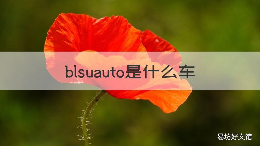 blsuauto是什么车
