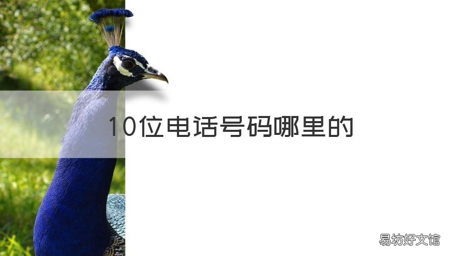 10位电话号码哪里的 有十位电话号码吗