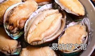 鲍鱼表面为何呈绿色 鲍鱼底部绿色是什么原因