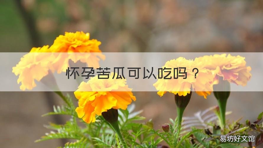 怀孕苦瓜可以吃吗 怀孕能吃苦瓜吗?