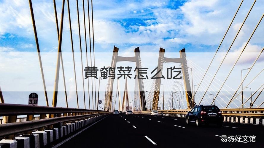 黄鹌菜怎么吃 黄鹌菜怎么吃?