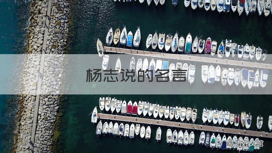 杨志说的名言 杨志说的名言名句