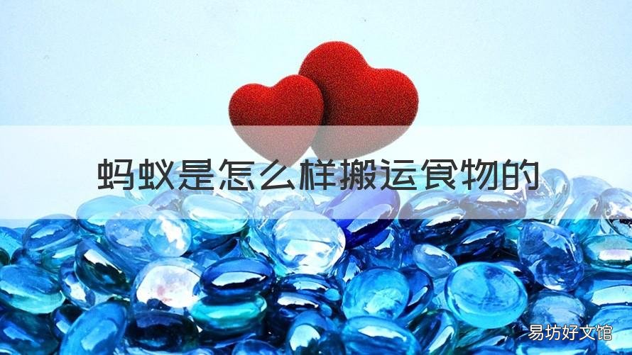 蚂蚁是怎么样搬运食物的 蚂蚁是怎么样搬运食物的呢