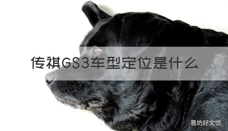 传祺GS3车型定位是什么 传祺gs3属于什么车型