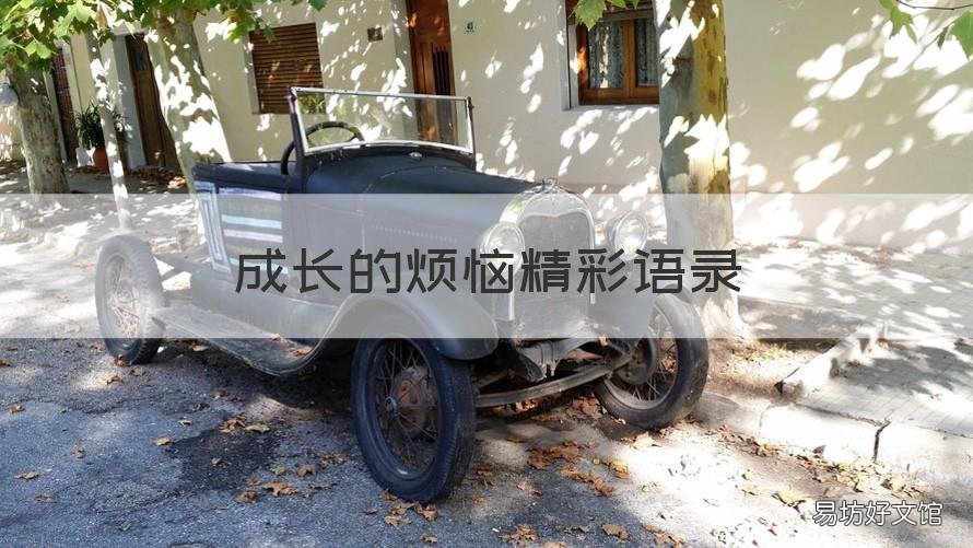 成长的烦恼精彩语录 成长的烦恼句子经典语录