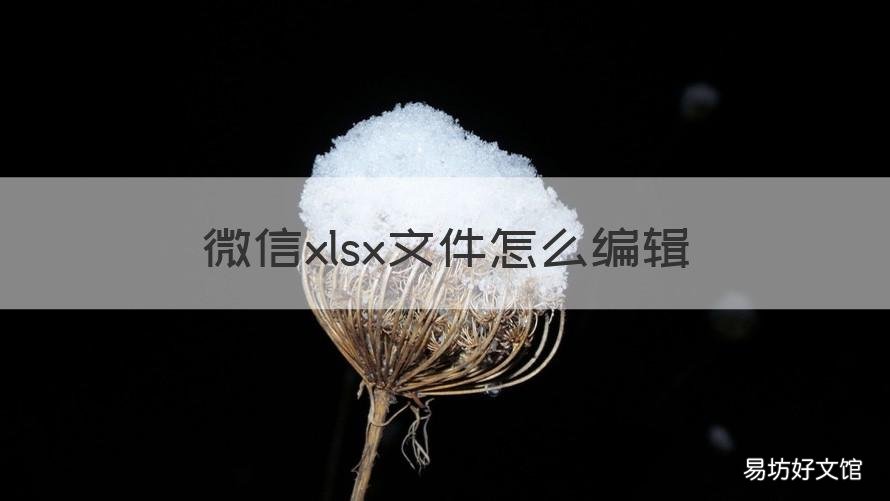 微信xlsx文件怎么编辑 微信xlsx文件怎么编辑在线