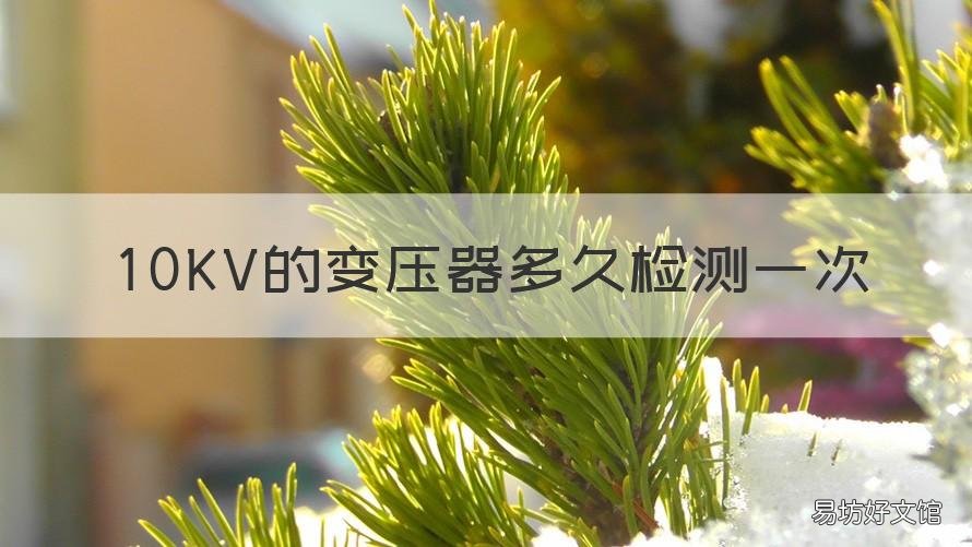 10KV的变压器多久检测一次 10kv的变压器多久检测一次电流