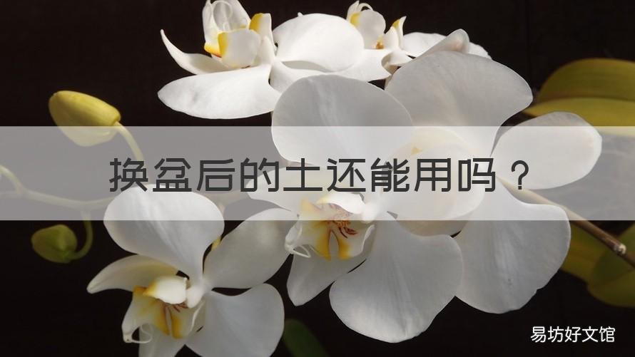 换盆后的土还能用吗 换盆需要把原盆土弄掉完吗
