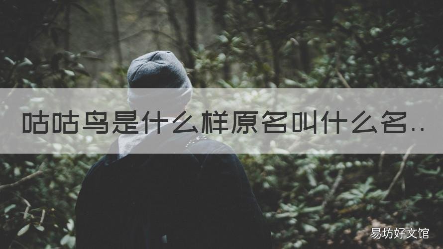 咕咕鸟是什么样原名叫什么名 咕咕鸟百度百科