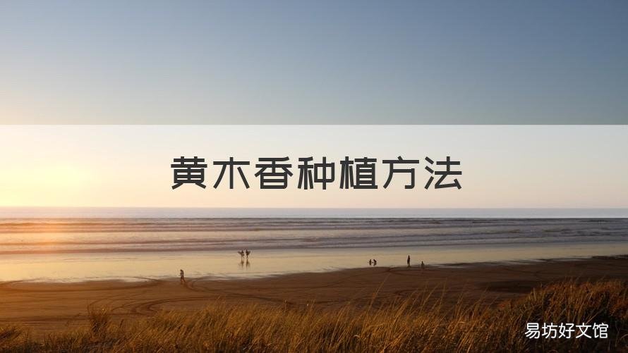 黄木香种植方法 地栽黄木香的养殖方法和注意事项