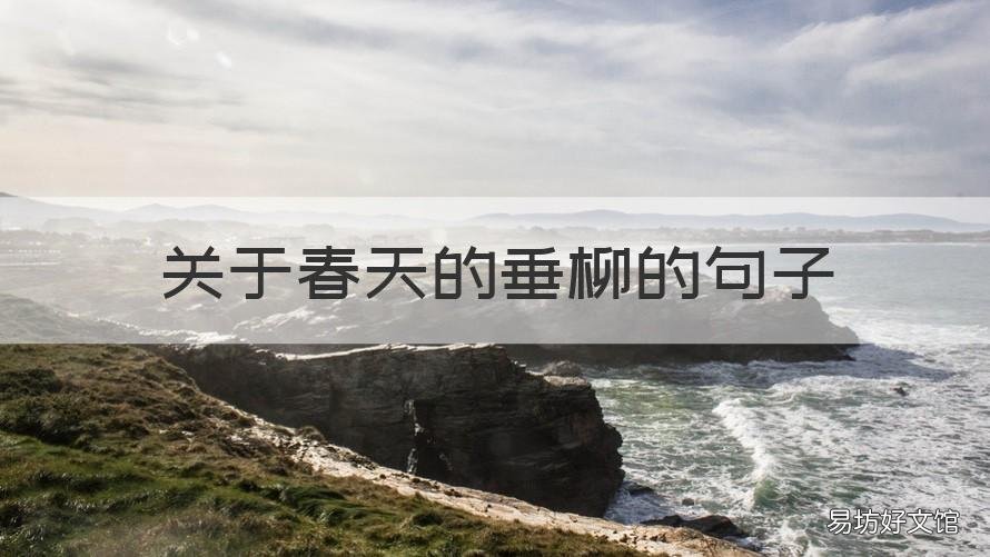 关于春天的垂柳的句子 描写春天垂柳
