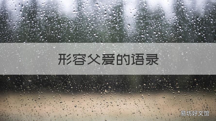 形容父爱的语录 形容父爱的经典语句