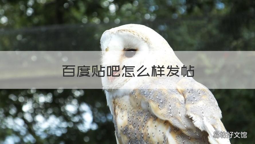 百度贴吧怎么样发帖 在百度贴吧如何发帖
