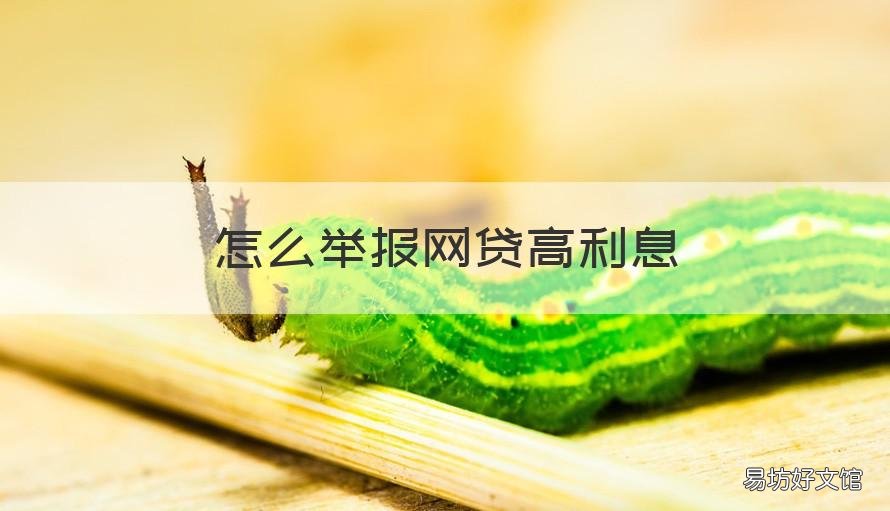怎么举报网贷高利息 网贷利息高如何举报投诉
