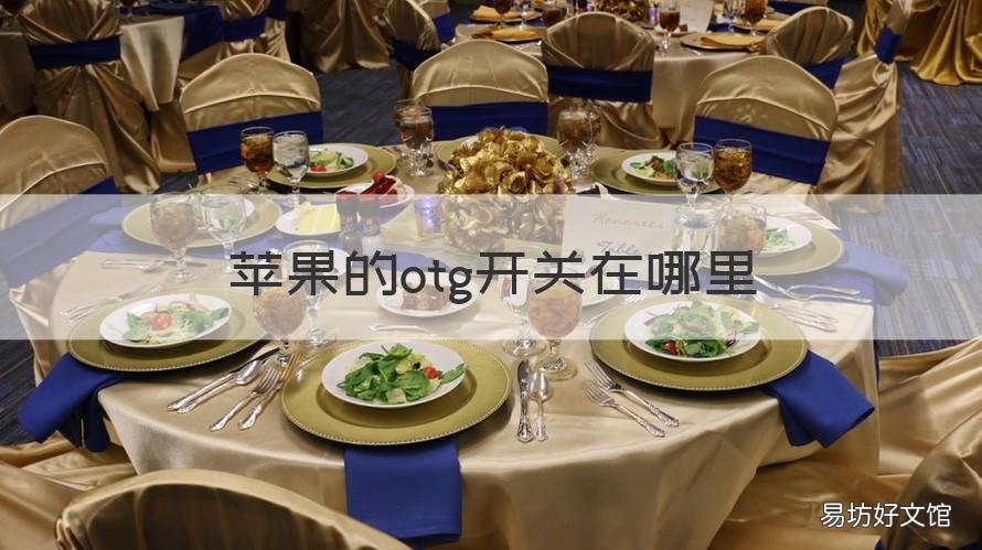 苹果的otg开关在哪里 苹果11的OTG开关在哪里