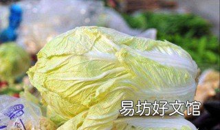白菜腐烂病怎样防治 小白菜腐烂病怎么防治