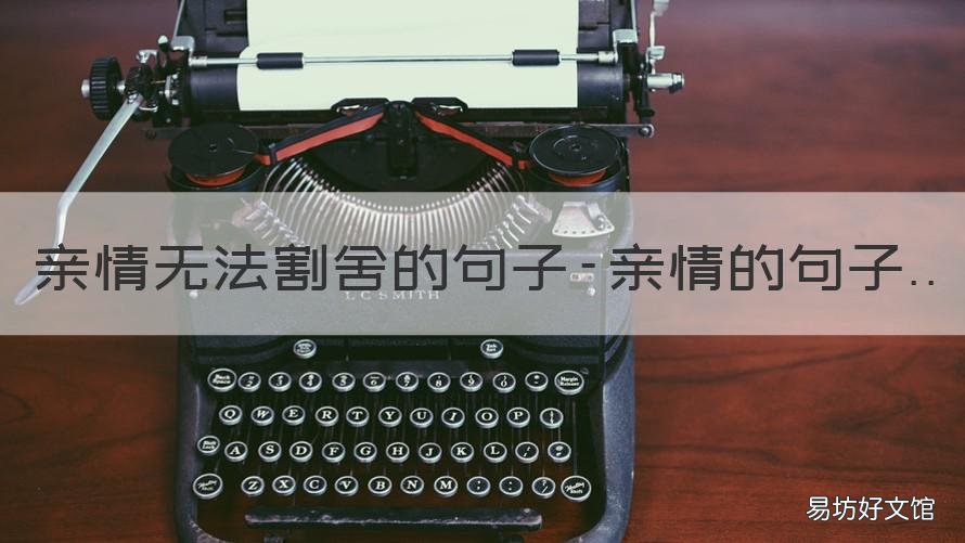亲情无法割舍的句子-亲情的句子 亲情的不舍经典句子