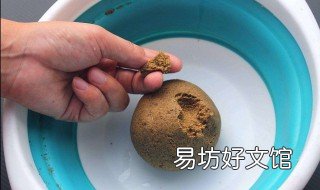捞河虾用什么饵料 捞河虾用什么饵料比较好