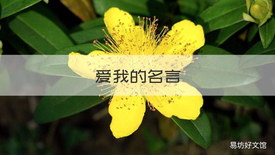 爱我的名言 爱自己的名言