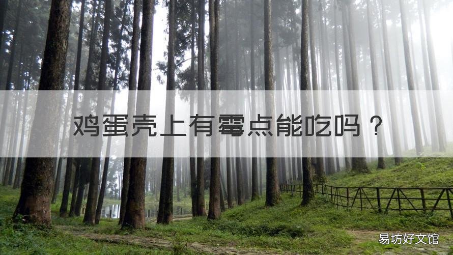 鸡蛋壳上有霉点能吃吗 鸡蛋壳上有霉点能吃吗有毒吗