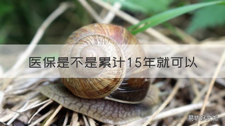 医保是不是累计15年就可以