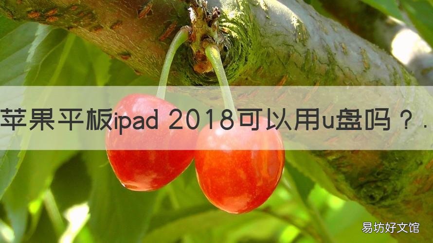 苹果平板ipad 2018可以用u盘吗 苹果ipad能用u盘吗