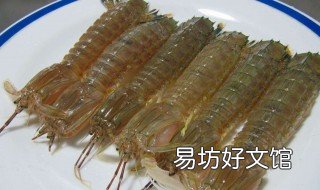皮皮虾和普通虾的区别 皮皮虾与普通虾的区别