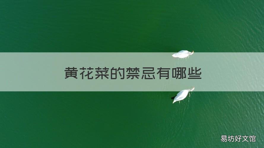 黄花菜的禁忌有哪些 黄花菜的禁忌有哪些食物