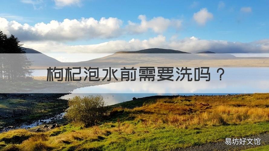 枸杞泡水前需要洗吗 泡枸杞水之前需要洗吗