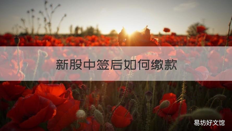 新股中签后如何缴款 新股中签后如何缴款买入