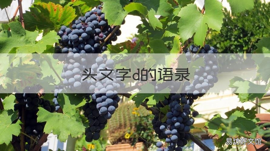 头文字d的语录 头文字d里十大经典台词