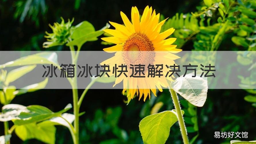 冰箱冰块快速解决方法 冰箱冰块快速解决方法视频