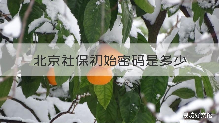 北京社保初始密码是多少 北京社保的原始密码是多少