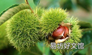 板要怎么做好吃 板子的做法