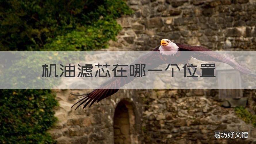机油滤芯在哪一个位置 机油滤清器在什么位置