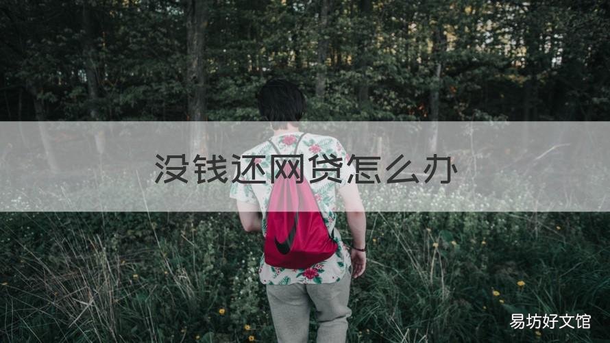 没钱还网贷怎么办 没钱还网贷怎么办大概3w多