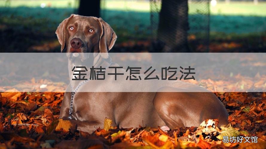金桔干怎么吃法 金桔干果做法