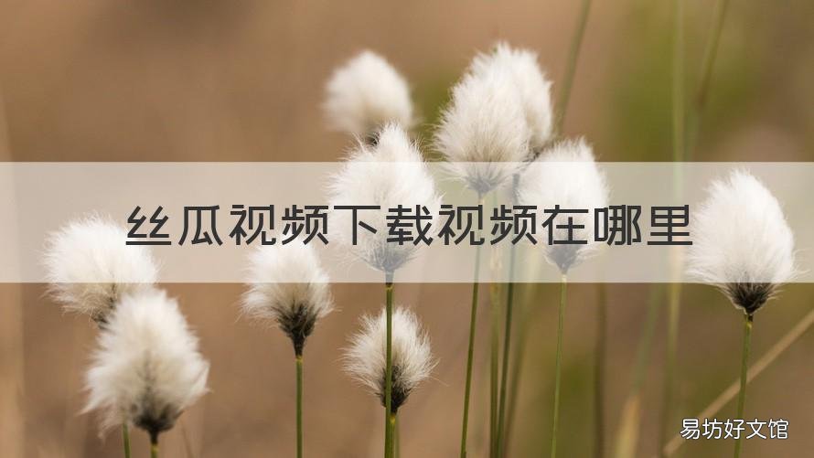 丝瓜视频下载视频在哪里