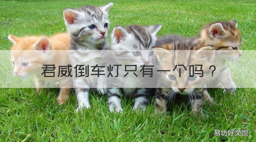 君威倒车灯只有一个吗 君威倒车灯为什么只有一个亮