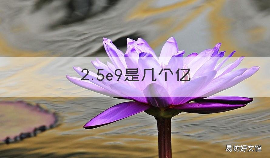 2.5e9是几个亿 2.6e9是多少亿