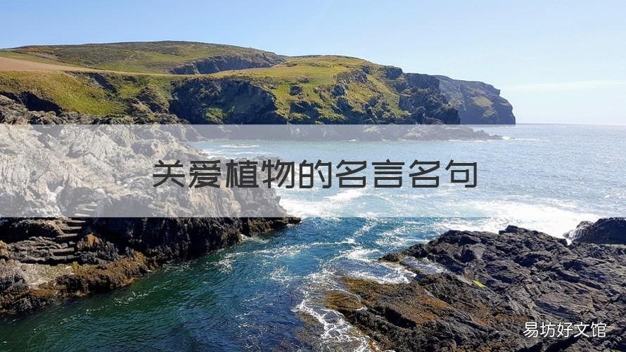 关爱植物的名言名句 关爱植物的名言名句有哪些