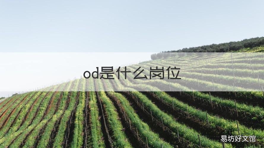 od是什么岗位 OD是什么岗位